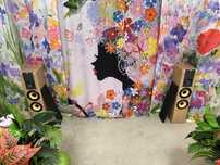 Мощные Напольные Колонки JBL LX2004