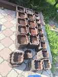 Продам формы для брусчатки Иранские