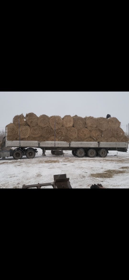 Сено в рулоне разнотравье луговое