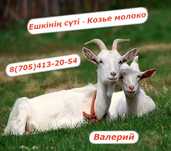 Козье молоко продажа