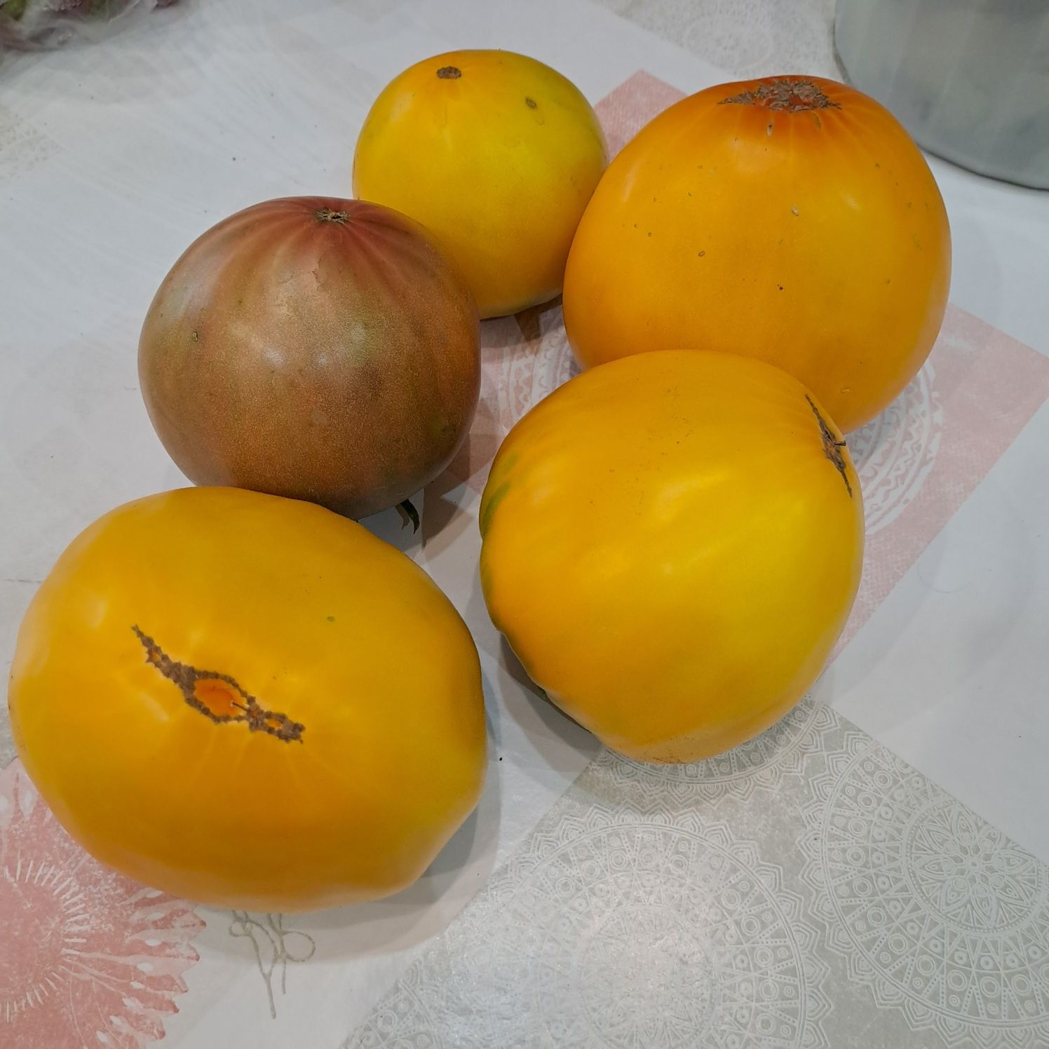 Продам помидоры дачные