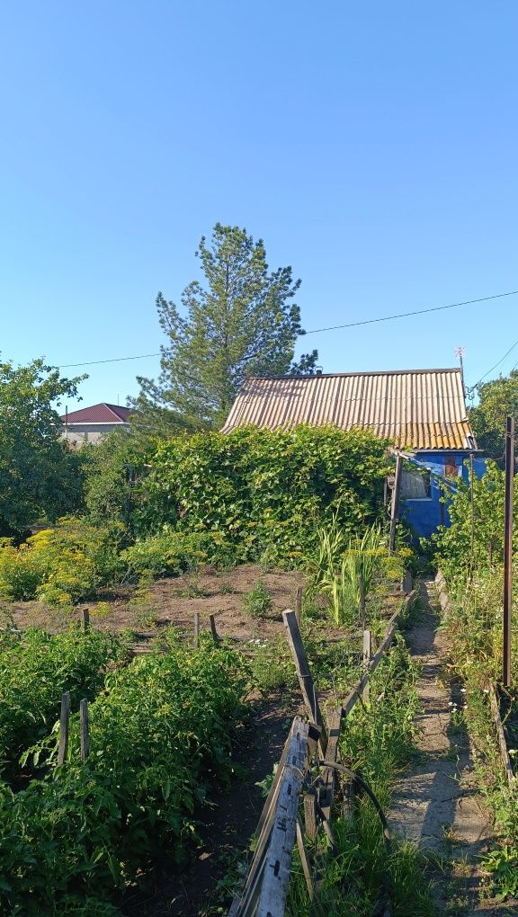 Продам Дачу Со Геолог