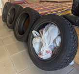 Зимняя резина Toyo Observe 195/55R16