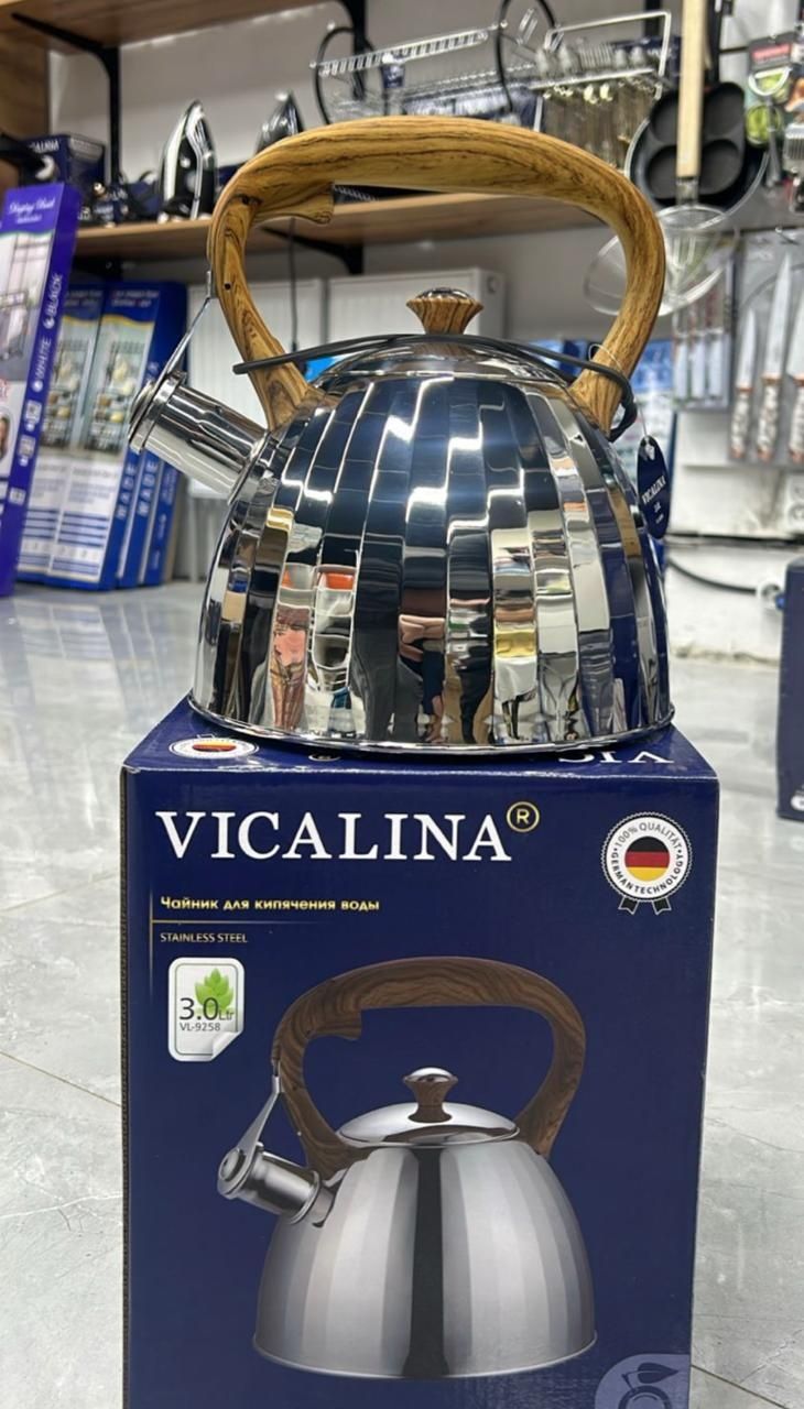 Чайник  набор Vicaluna