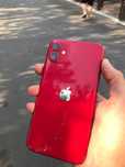 iPhone 11 всё работает