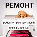 Ремонт стиральных машин