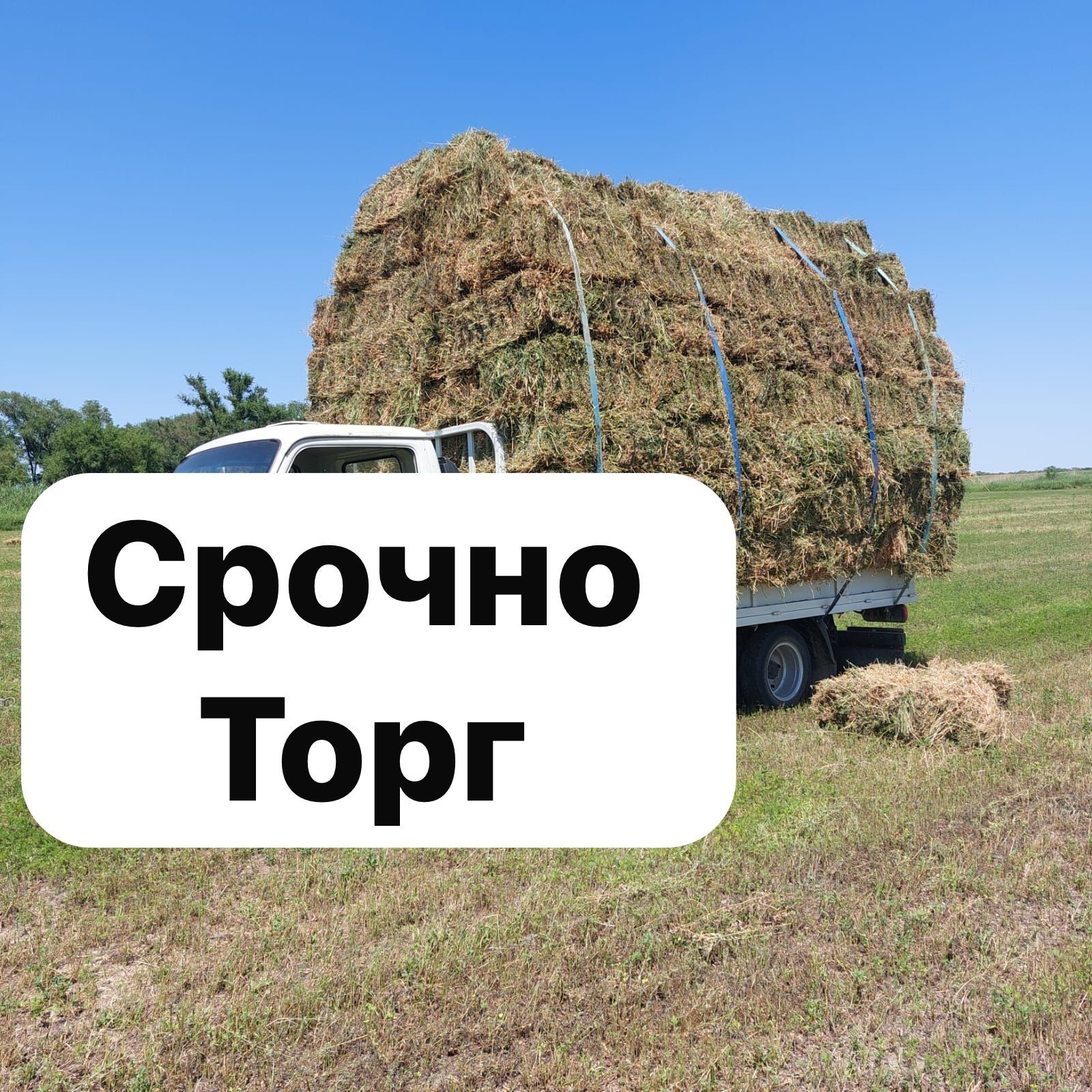 Сено, шоп, люцерна, жонышка