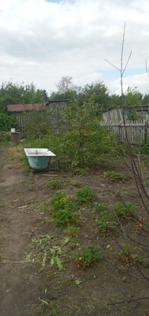 Продам дачу в обществе Борки