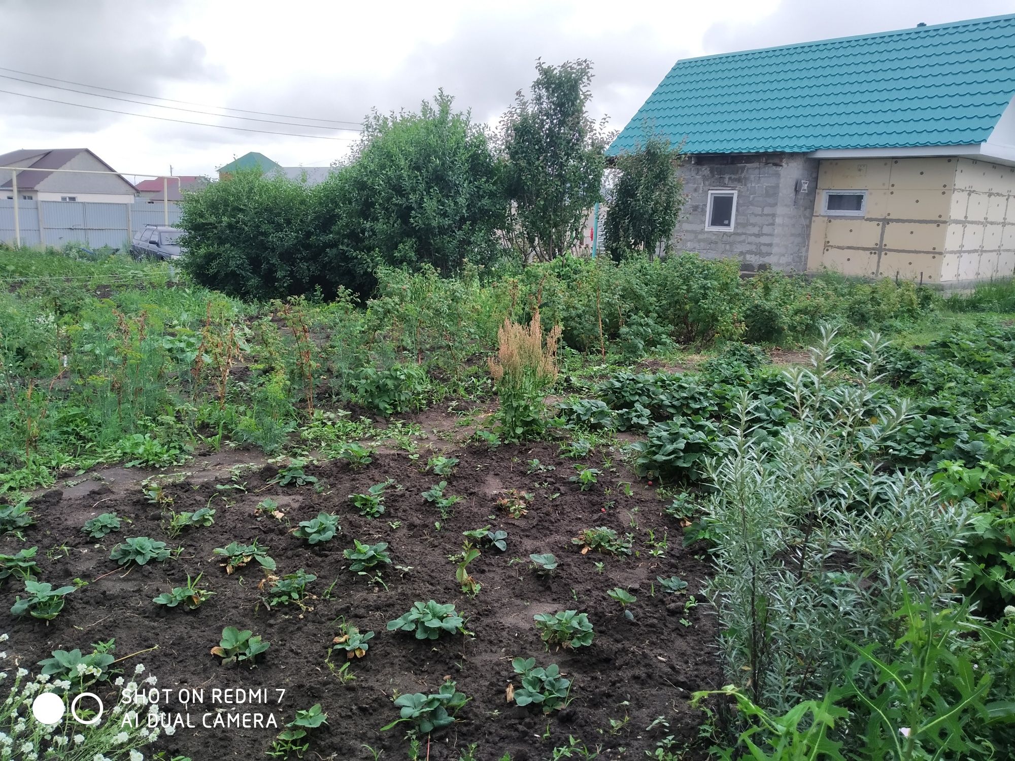 Продам  небольшой  жилой дом  в Дружбе на участке 12 сот. 19 млн.