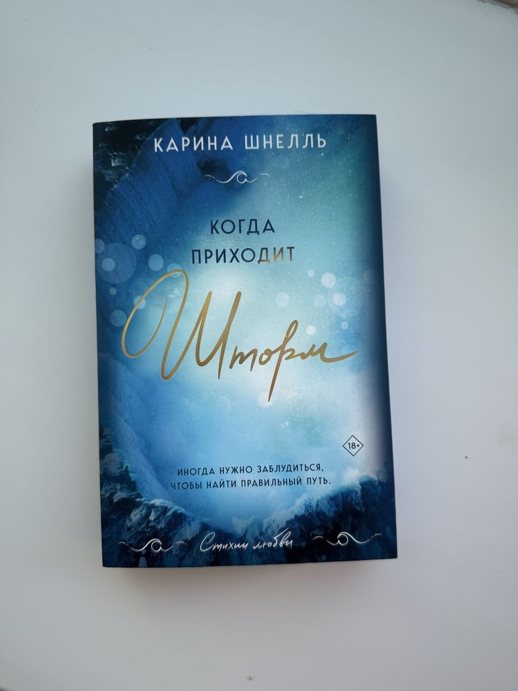 «Когда приходит шторм» Карина Шнелль