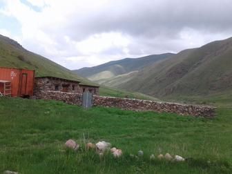 Крестьянское хозяйство с домом, сараем и др. хозпостройками