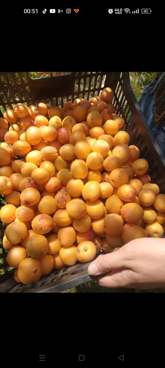 Продам дачу район ГМЗ