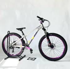 Erec L5 dirt street