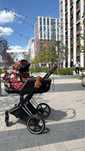 Продам коляску cybex priam,в использовании месяц.