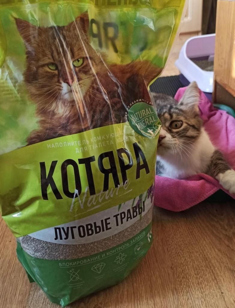 Наполнитель комкующийся котяра 10л с углем с травами