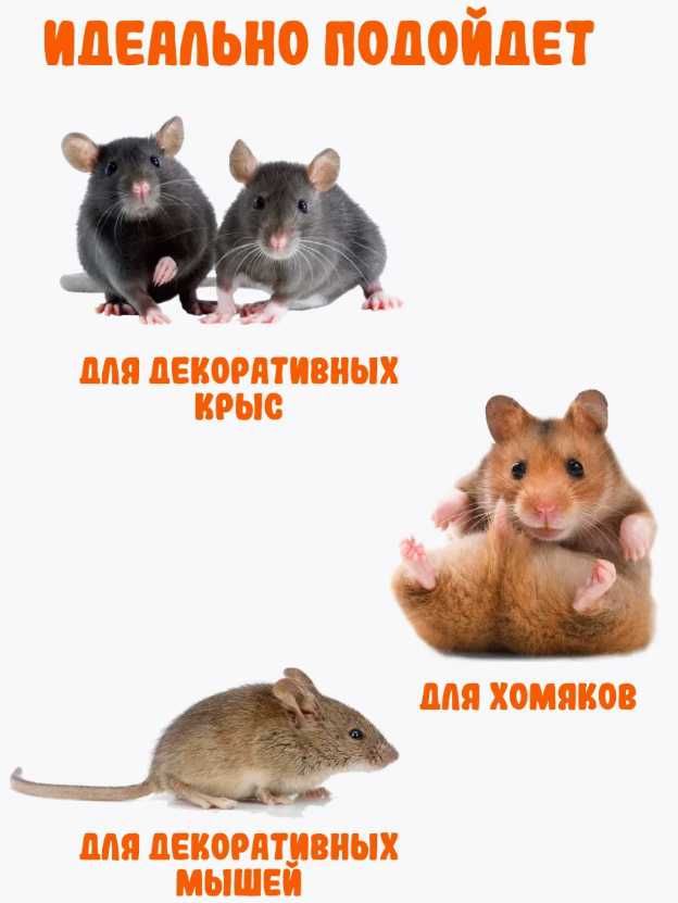 Зоотовары по доступной цене доставка по Актобе бесплатно