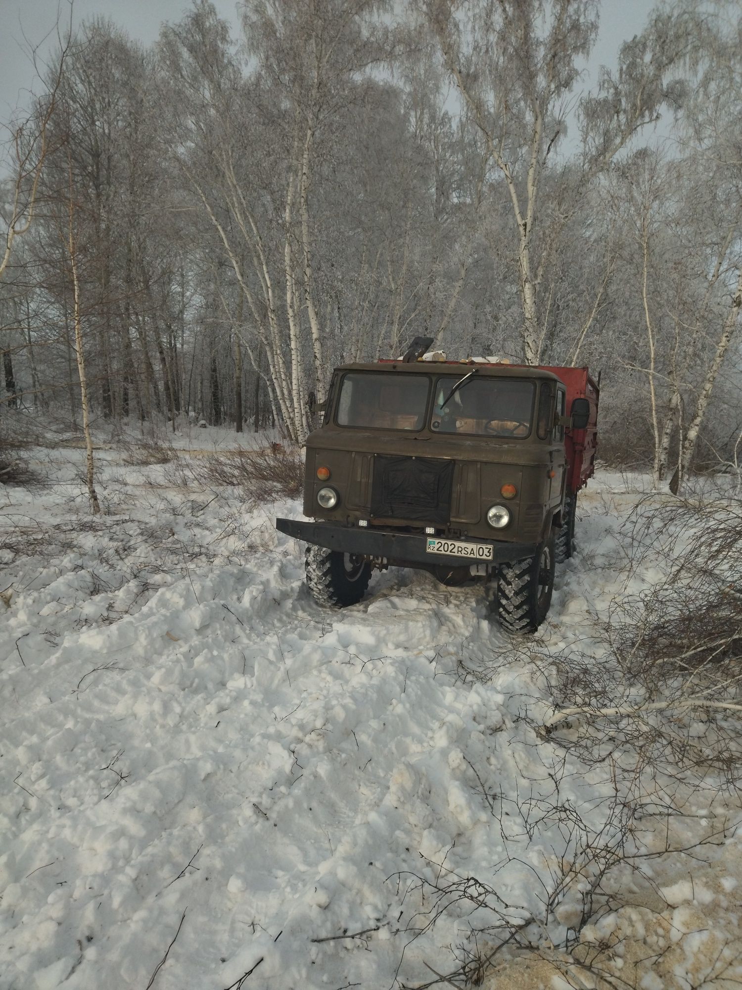 Дрова Белая березка