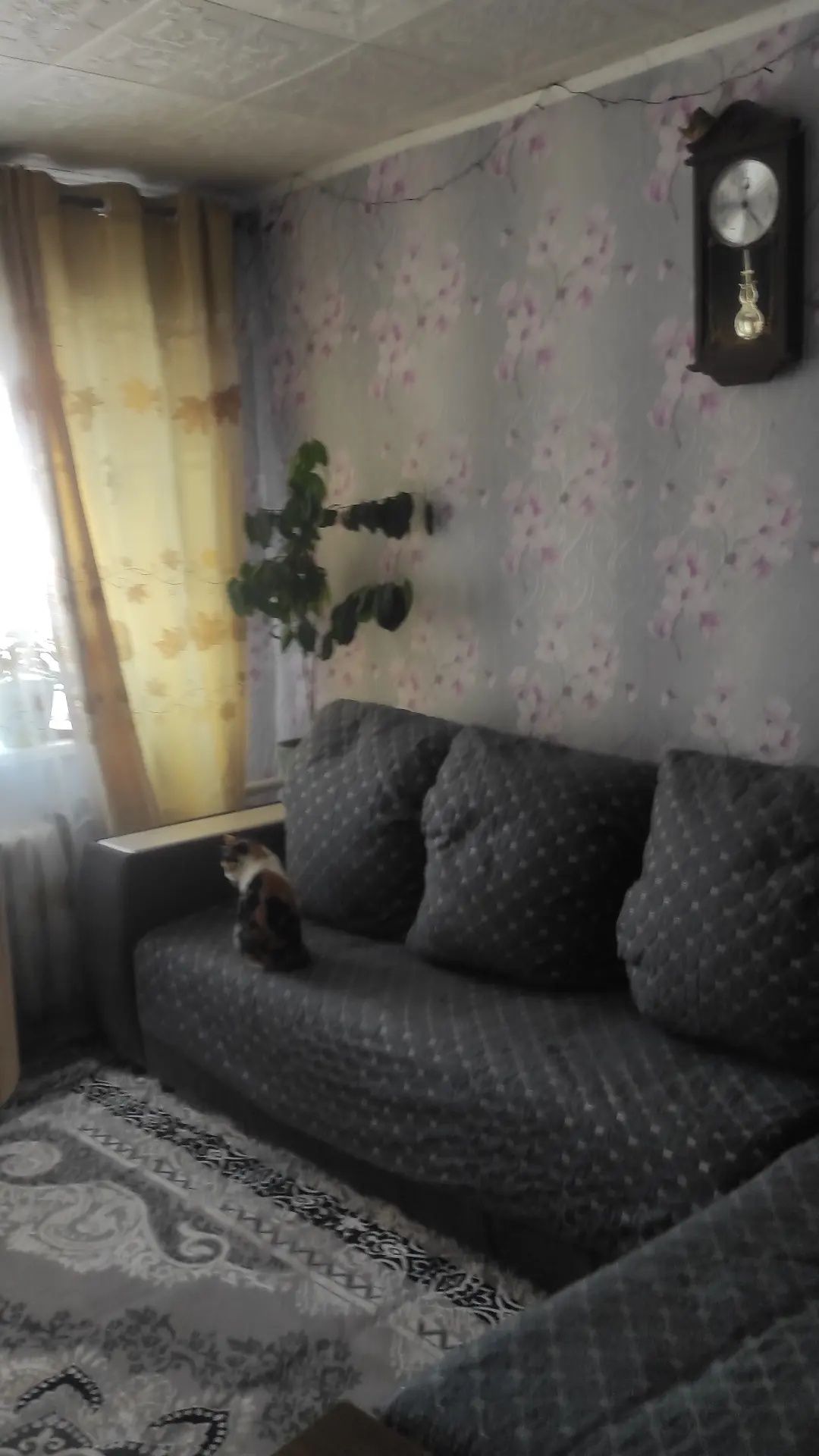 Продается не большой дом 50кв.м. Кордай