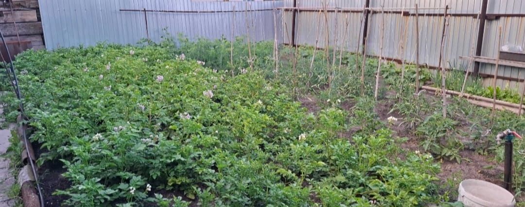 Продам пол дома  р рабочий