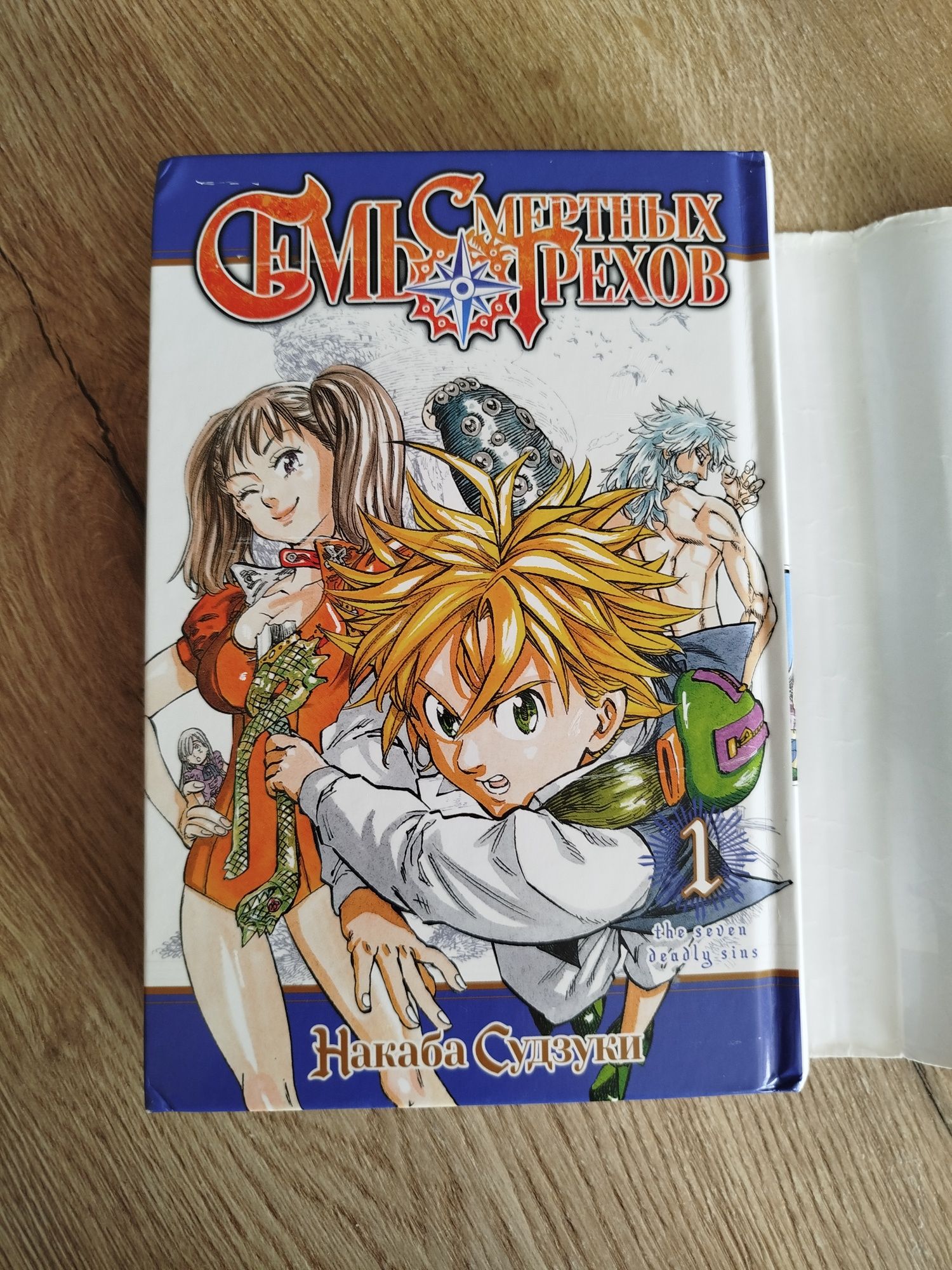 Семь смертных грехов, 1 книга