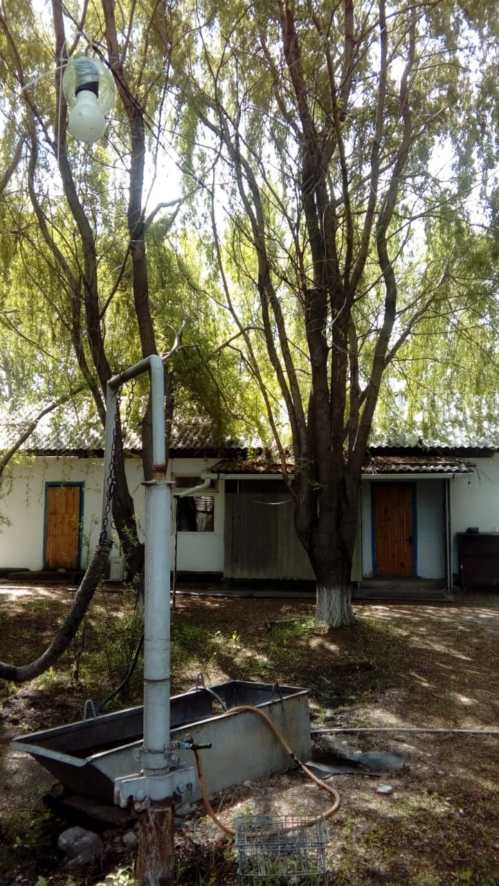 Продам крестьянское хозяйство (Фазенда)