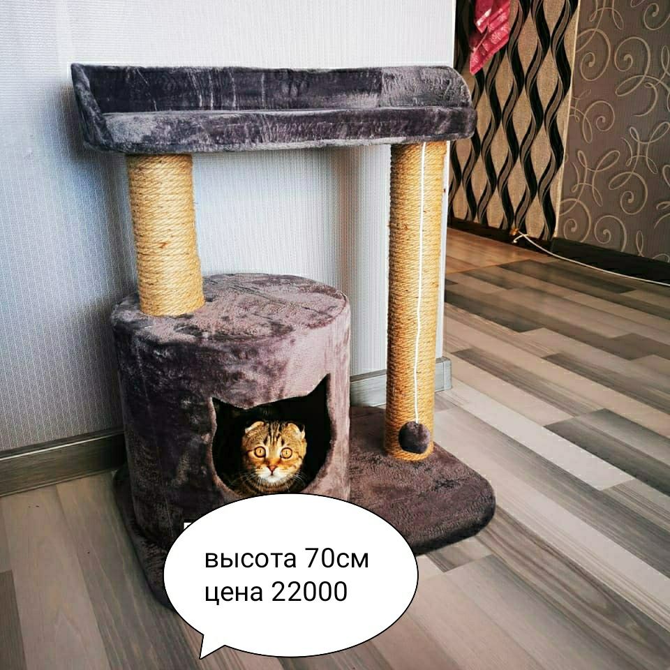 Ремонт и изготовление когтеточек