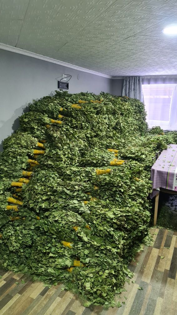 Березовые веники 1500шт по 800