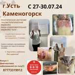 Продам срочно продам