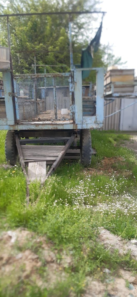 Тележка с пчелами