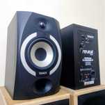 Акустические мониторы Tannoy Reveal 501A