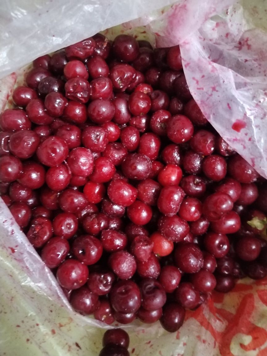 Продам черешню   . Домашняя  цена договорная