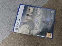 Hogwarts Legacy ,хогвартс ps5