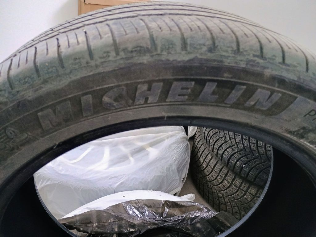 Летняя Michelin Палисад