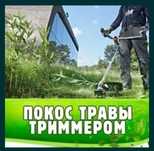 Покос травы, шөп шабу