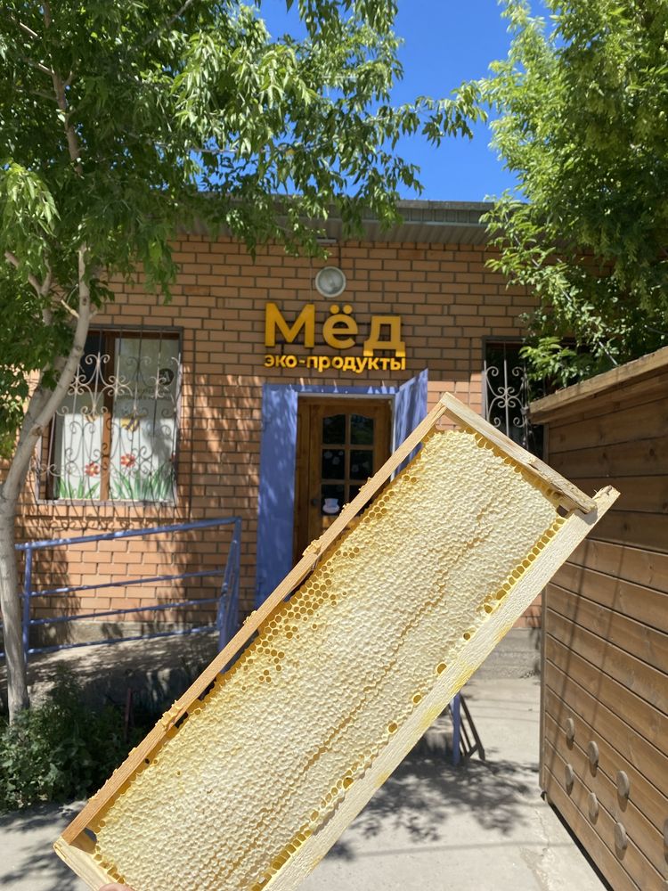 Сотовый мёд - Ара ұясы