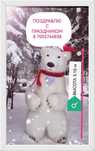 Поздравления. Праздники. Аниматоры. Мишки. Панды. Холодные фонтаны.
