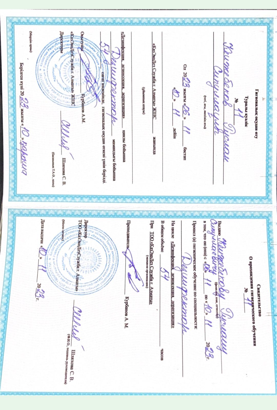 Дезинфекция. Уничтожение клопов , тараканов , мышей и крыс