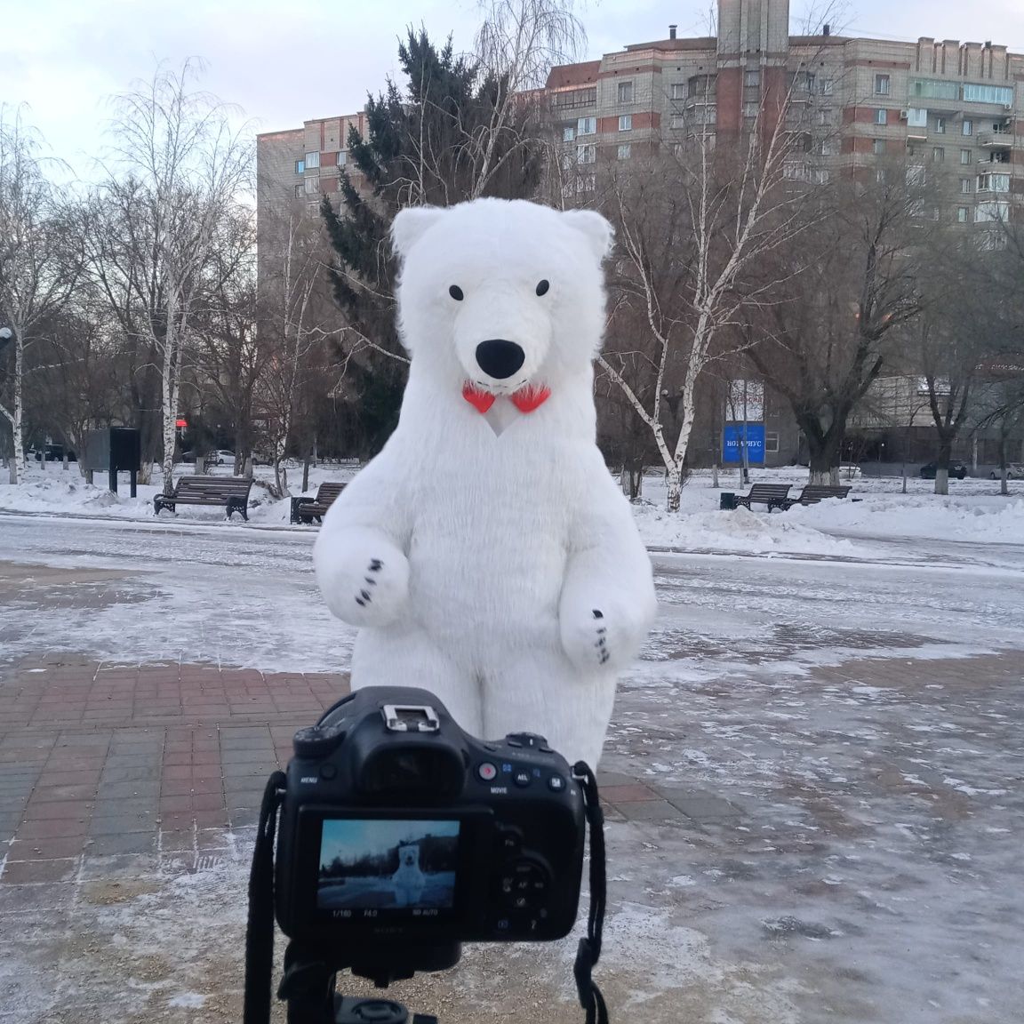 Белый Мишка, Панда, Чебурашка