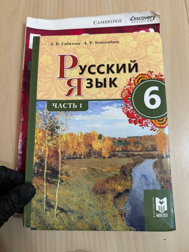 Книга русского языка шестого класса 2-части