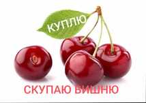 Ягода свежемороженая