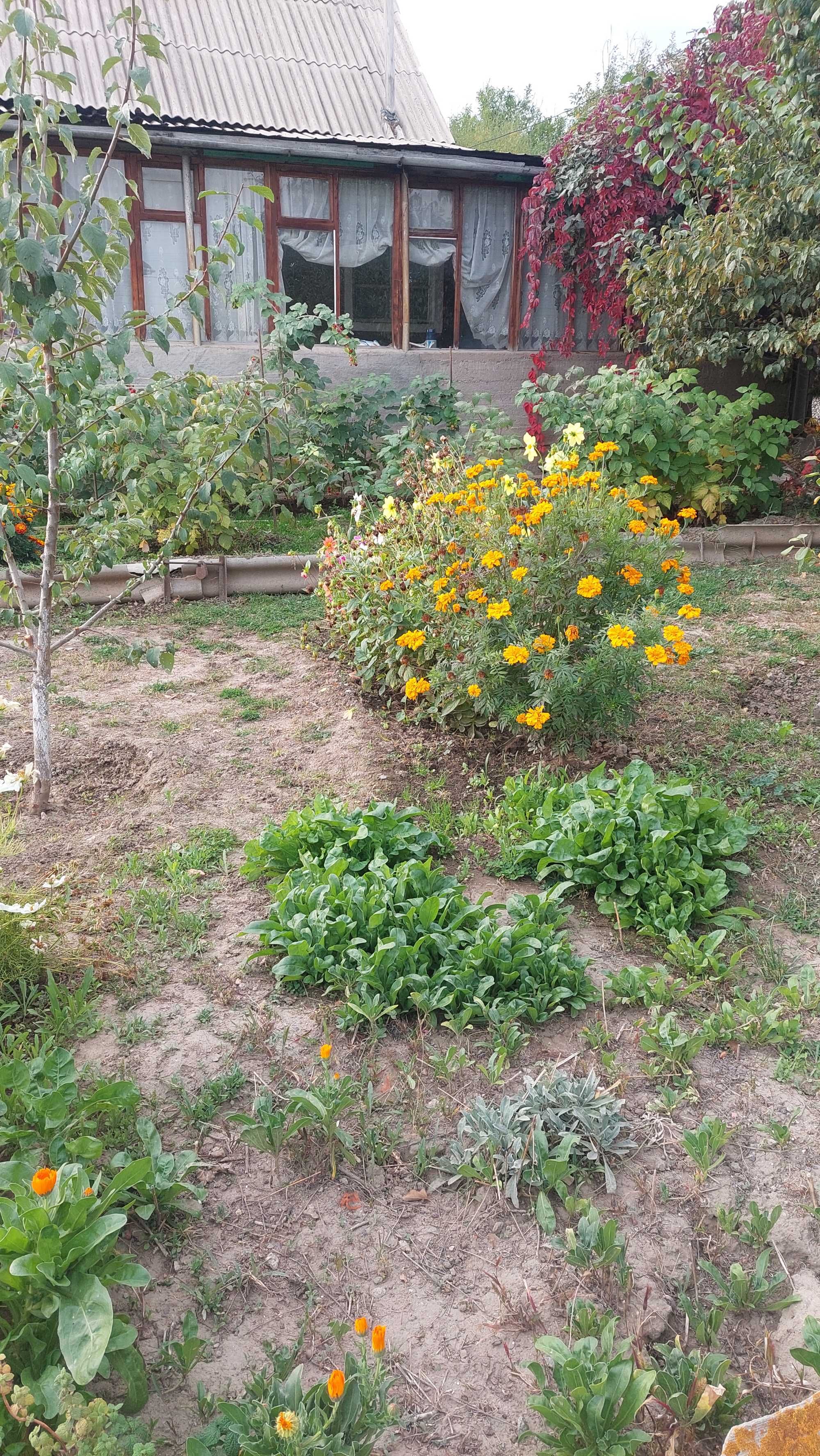Продам дачу в Каскелене