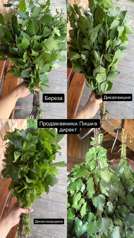 Веники: дубовые, березовые, из дикой вишни и сиородины