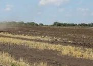 Участок товарное сельхозпроизводство