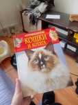 Книга про Кошек и Котят