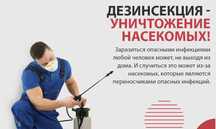 Дезинфекция в Шымкенте потравим всех насекомых