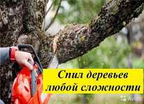 Спил деревьев любой сложности уборка территории