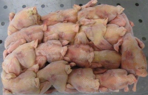 Тушки кур несушек в наличии.