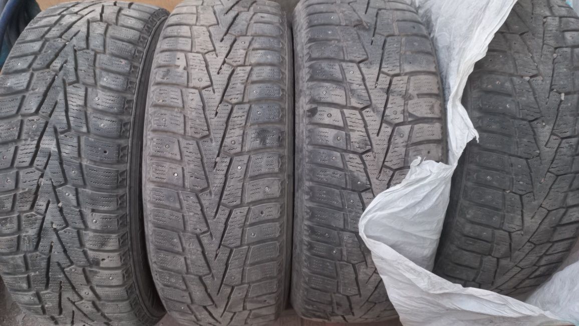 Зимные шины Roadstone
