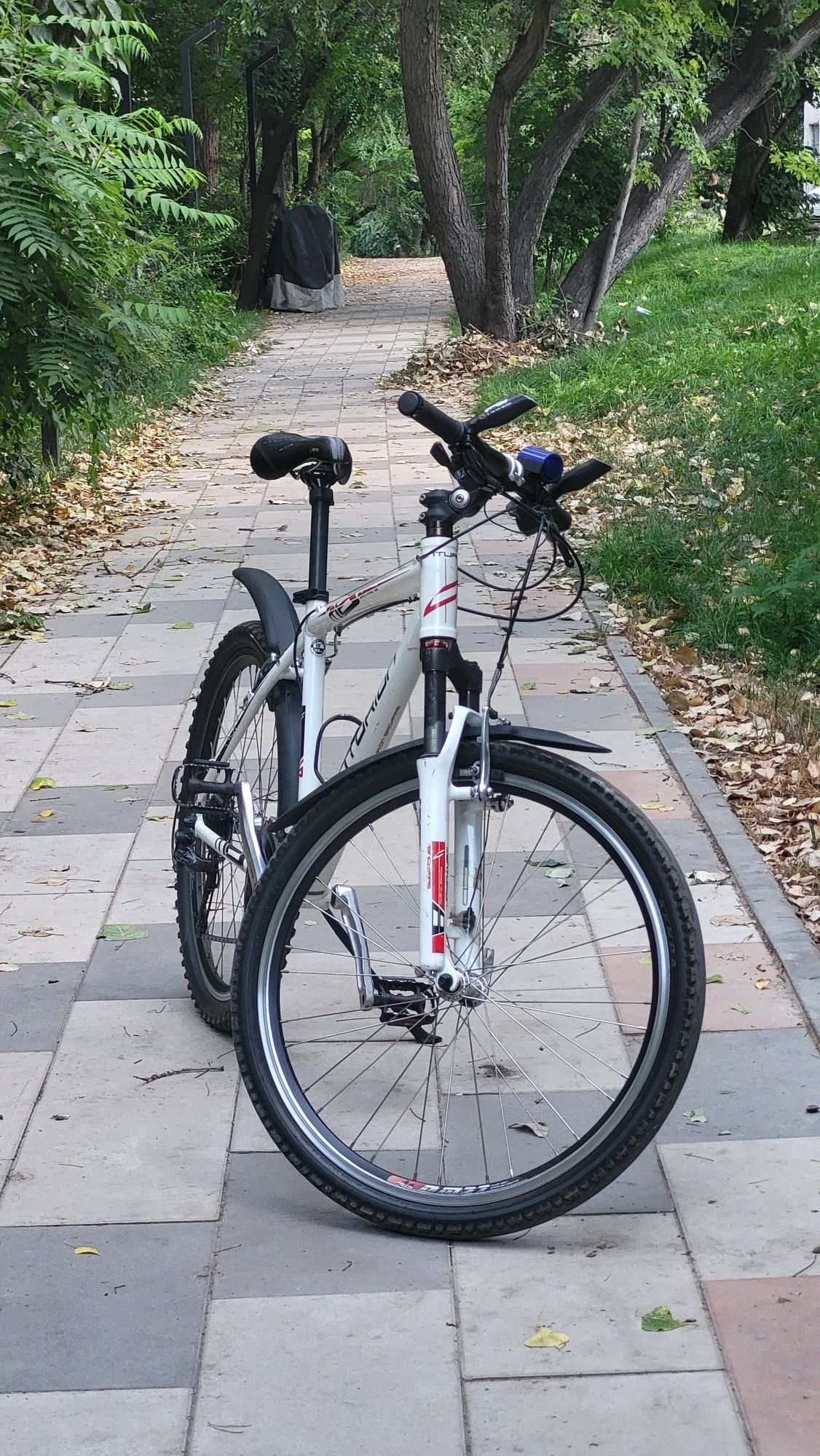 Горный велосипед, Centurion backfire m6