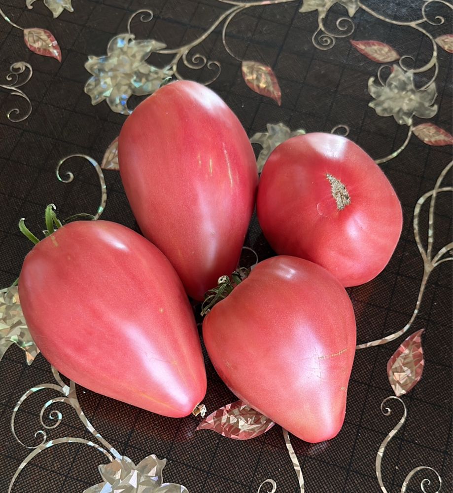Продам домашние помидоры «Бычье сердце»